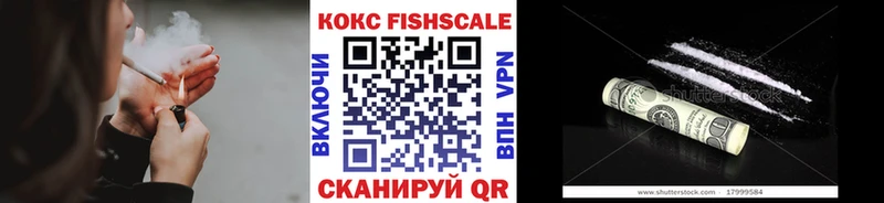 закладки  Саров  Кокаин Эквадор 