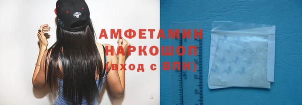 ешки Алексин