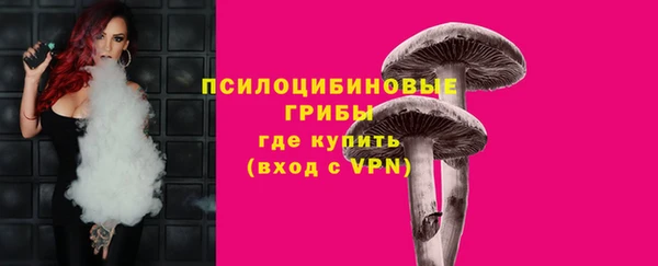 ешки Алексин