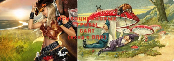 ешки Алексин