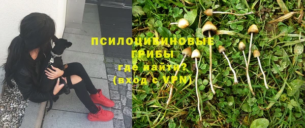 марки lsd Алзамай