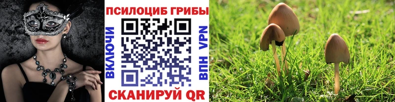 МЕГА зеркало  Саров  Псилоцибиновые грибы ЛСД  где найти наркотики 
